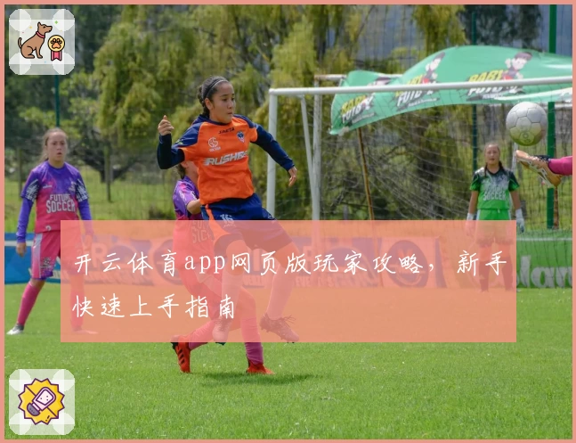 开云体育app网页版玩家攻略，新手快速上手指南