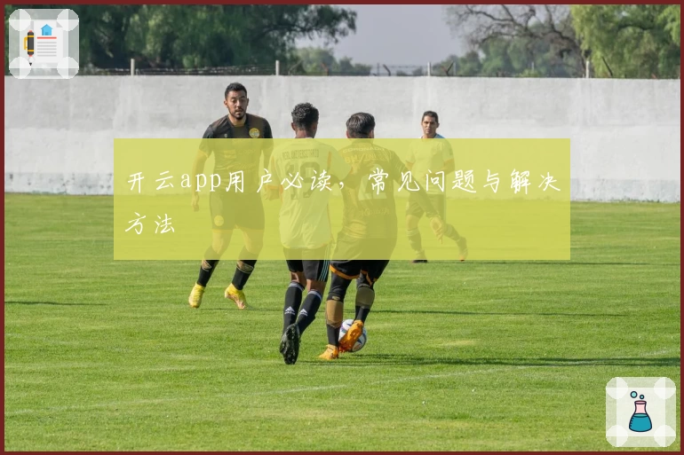 开云app用户必读，常见问题与解决方法