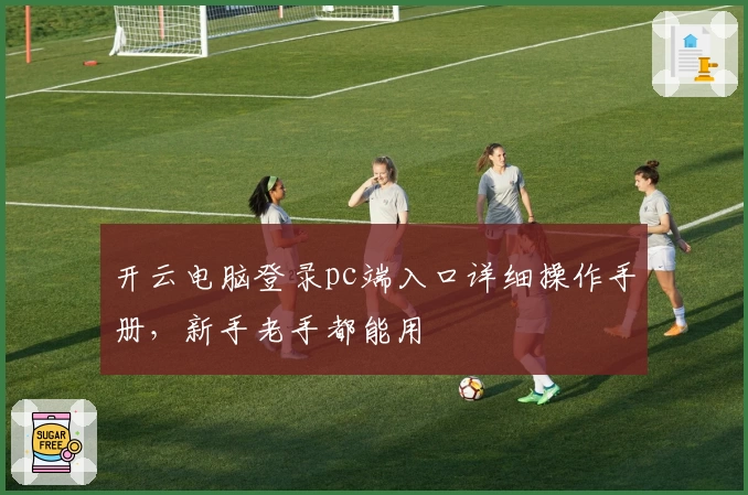 开云电脑登录pc端入口详细操作手册，新手老手都能用