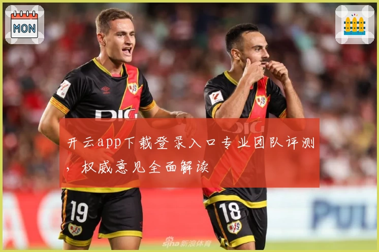 开云app下载登录入口专业团队评测，权威意见全面解读