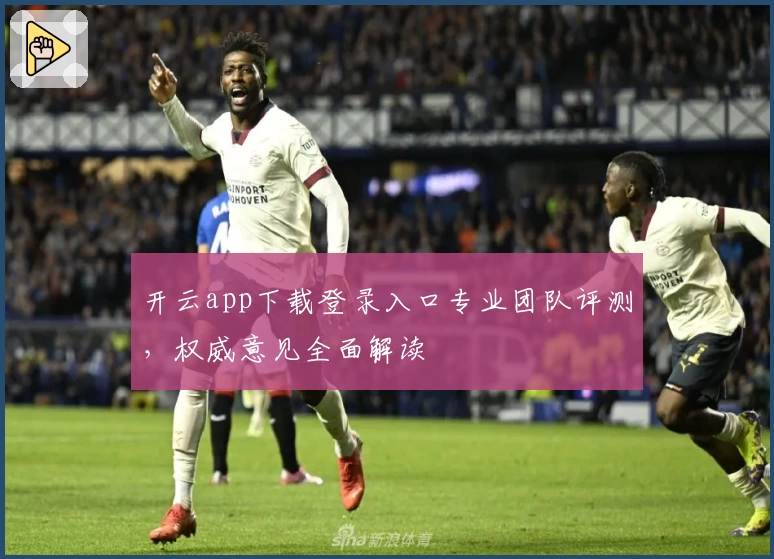 开云app下载登录入口专业团队评测，权威意见全面解读