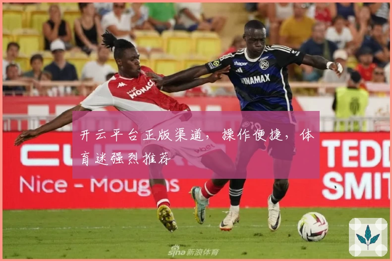 开云平台正版渠道，操作便捷，体育迷强烈推荐